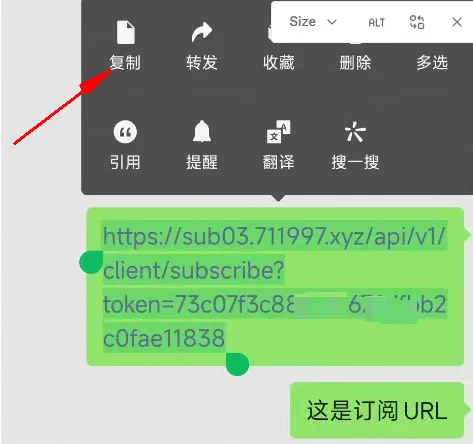 步骤 2 · 从剪贴板添加订阅