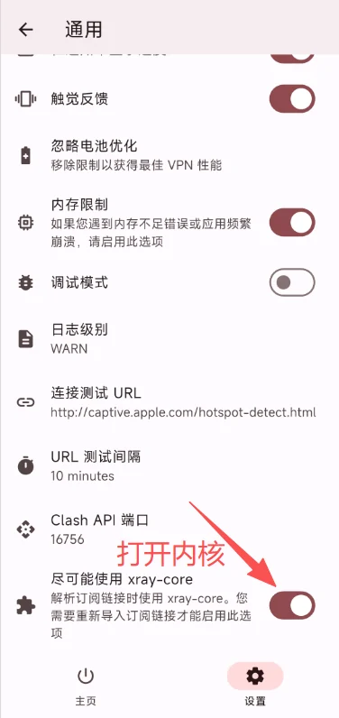 进入通用，打开尽可能使用 xray-core